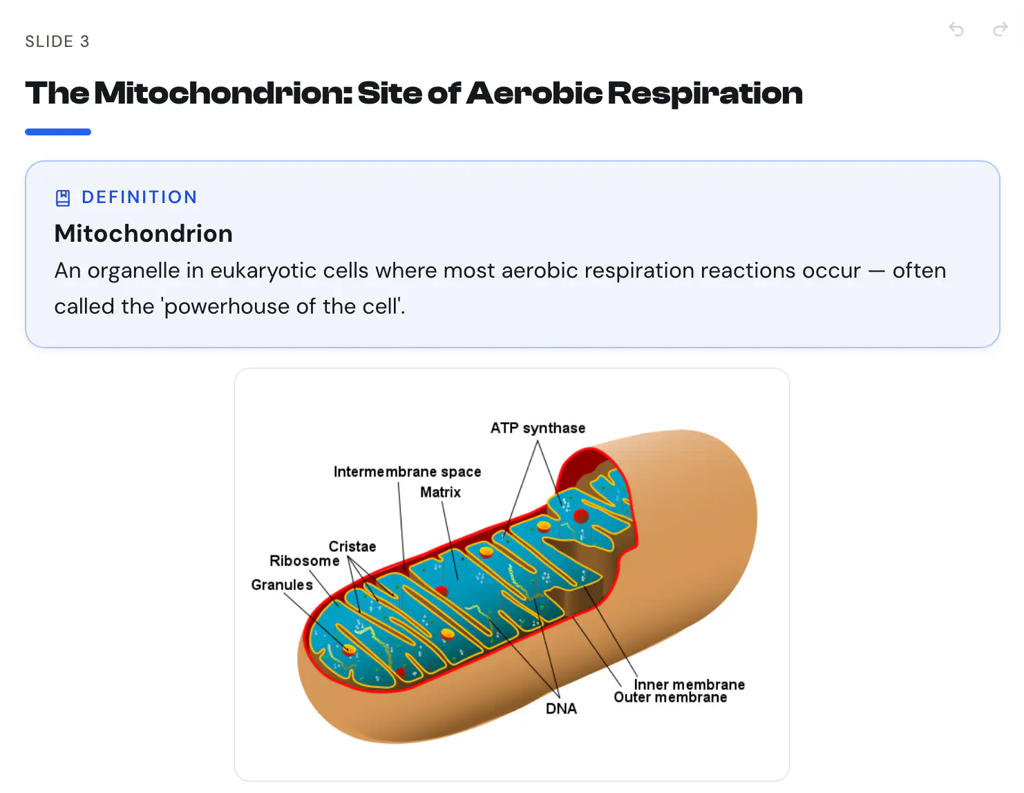 A Biology slide deck in the editor: slide 3, on the mitochondrion, with a definition block and a labelled diagram.
